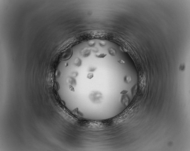 X0000100230666200806131337