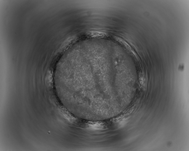 X0000100230667200806131337