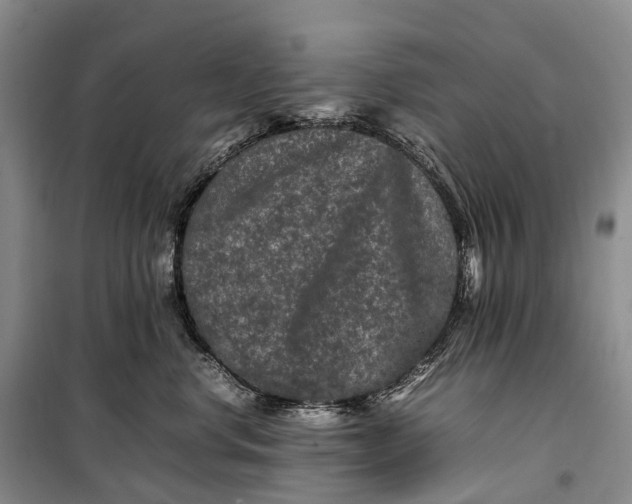 X0000100230668200806131337