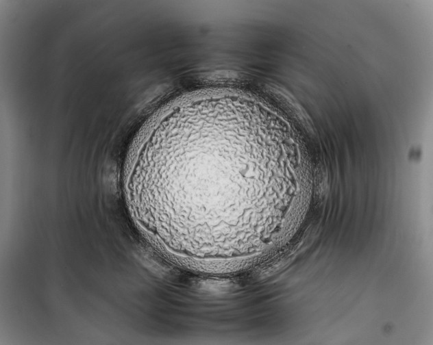 X0000100230669200806131337