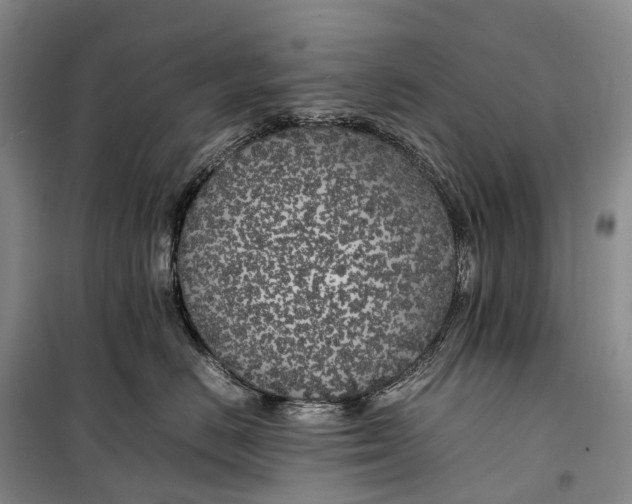 X0000100230670200806131337