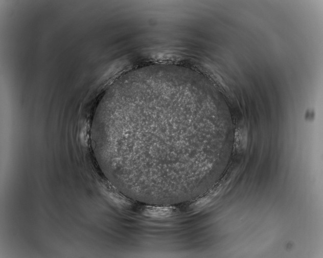 X0000100230671200806131337