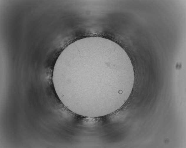 X0000100230672200806131337