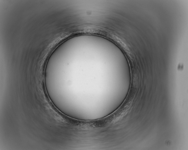 X0000100230673200806131337