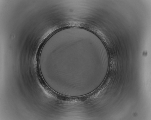 X0000100230674200806131337