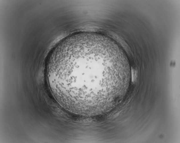 X0000100230675200806131337