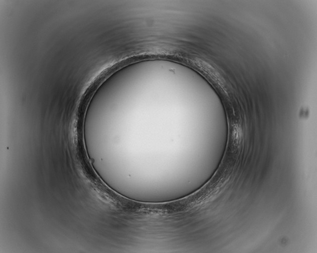 X0000100230676200806131336