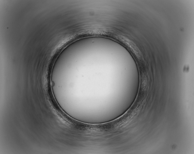 X0000100230677200806131336