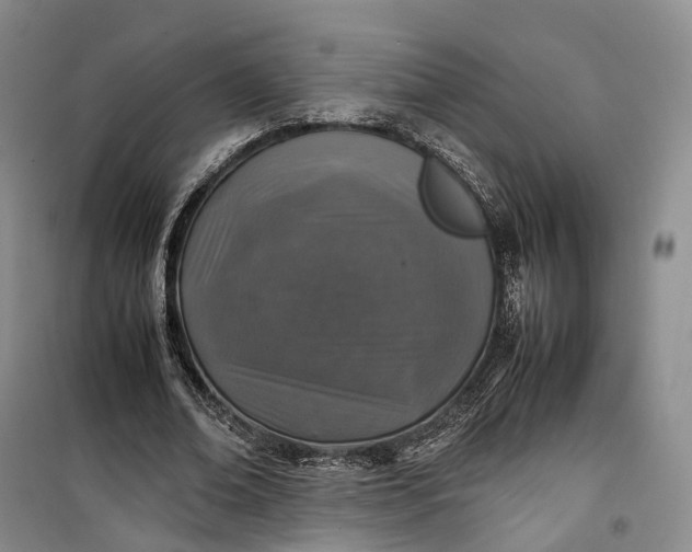 X0000100230678200806131336