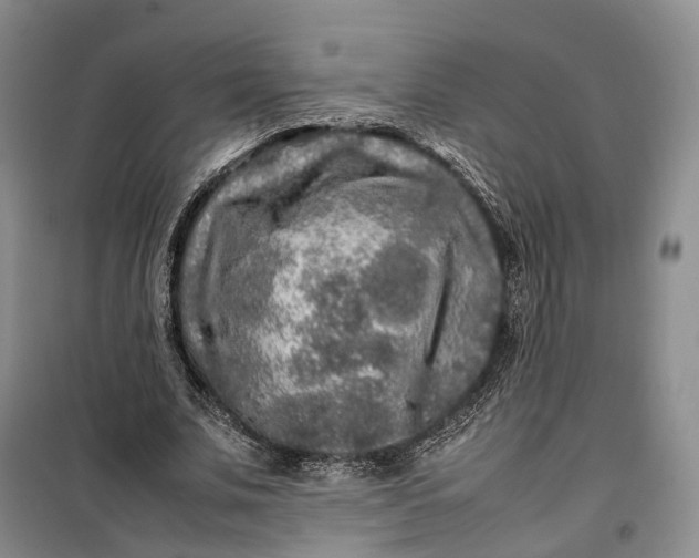 X0000100230679200806131336