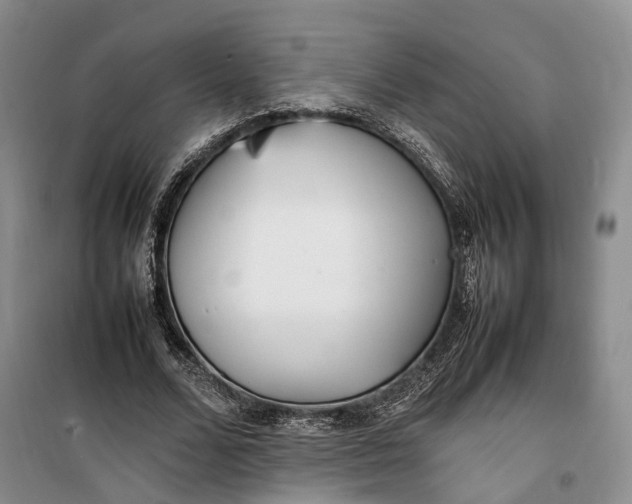 X0000100230680200806131336