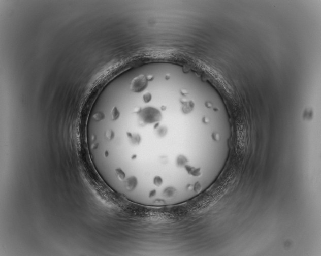 X0000100230682200806131336