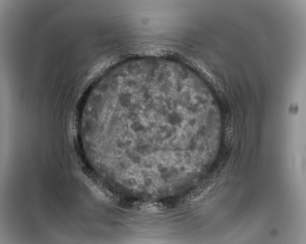 X0000100230683200806131336