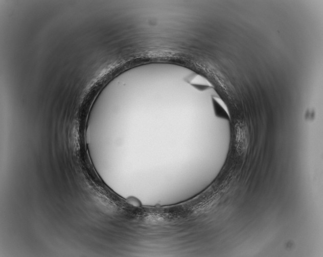 X0000100230684200806131336