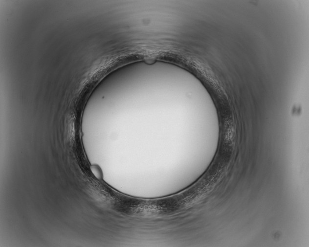 X0000100230685200806131336