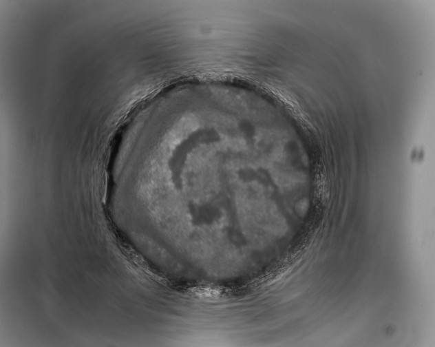 X0000100230687200806131336