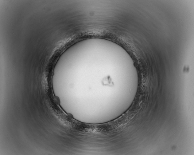 X0000100230688200806131336