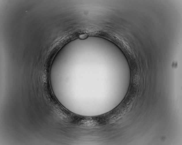 X0000100230689200806131336