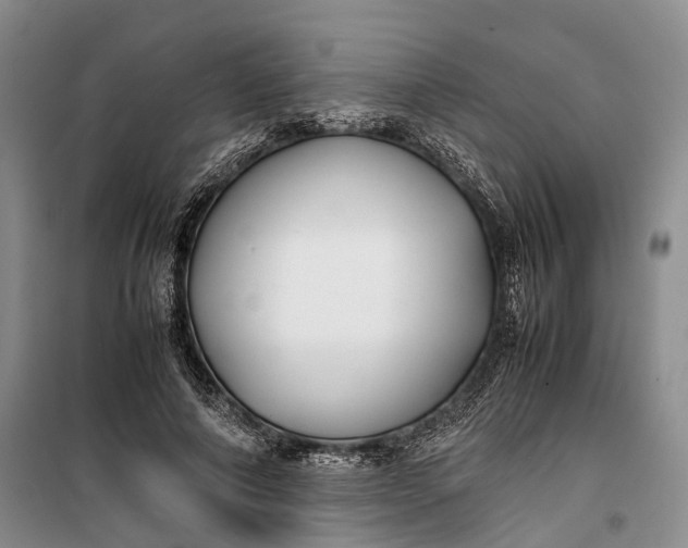 X0000100230690200806131336