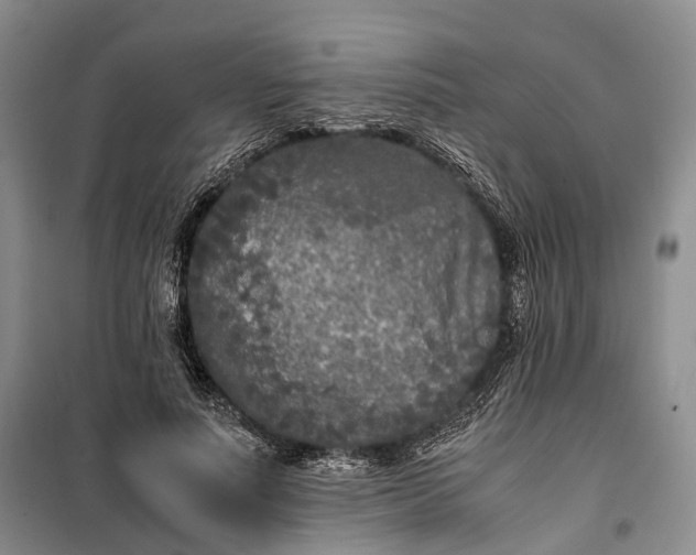 X0000100230691200806131336