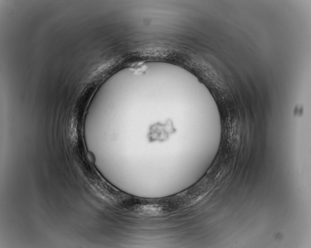 X0000100230692200806131336