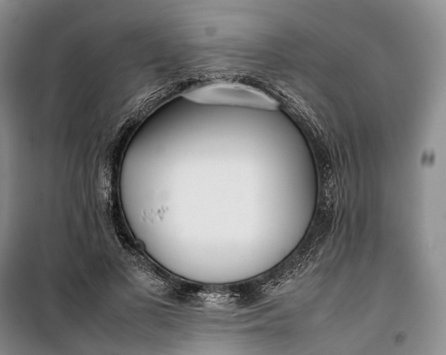 X0000100230693200806131336