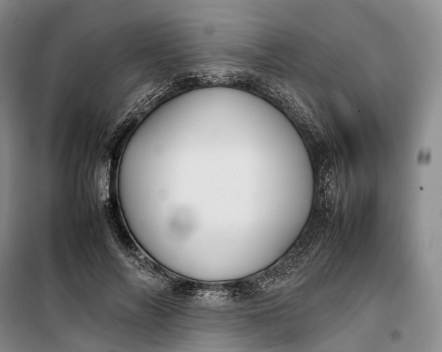 X0000100230694200806131336