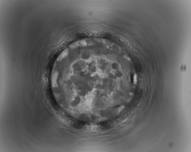 X0000100230695200806131336