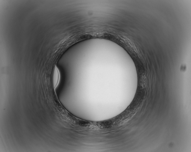 X0000100230697200806131336