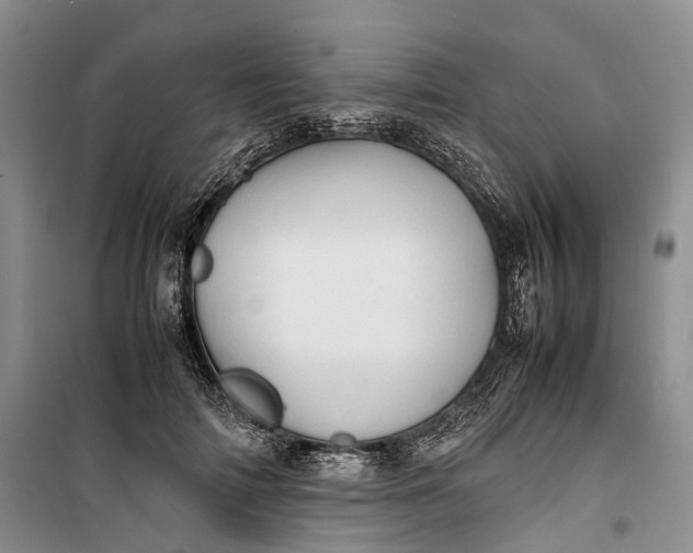 X0000100230698200806131336