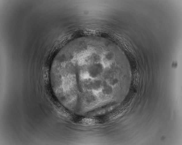 X0000100230699200806131336