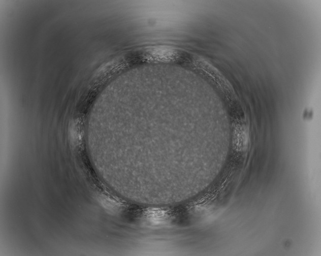 X0000100230701200806131336