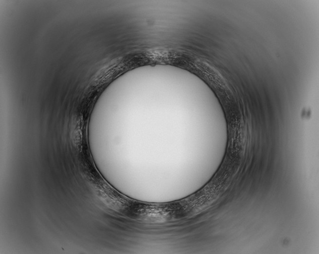 X0000100230702200806131336