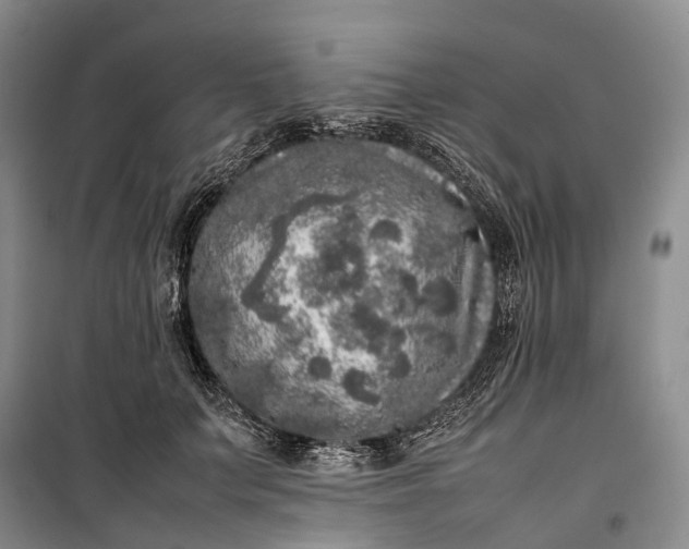 X0000100230703200806131336