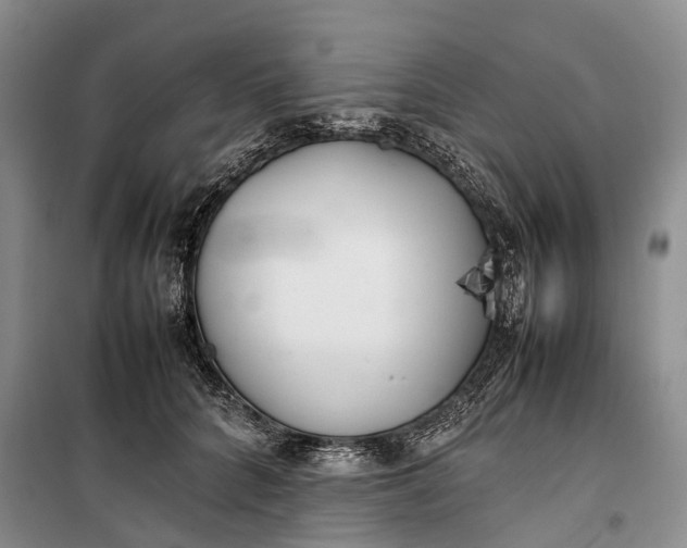 X0000100230704200806131336