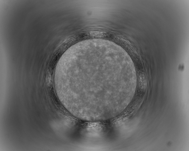 X0000100230705200806131336