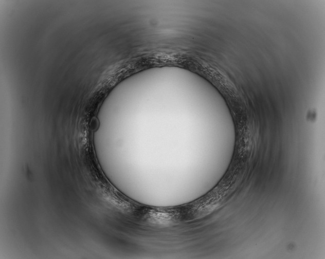 X0000100230706200806131336