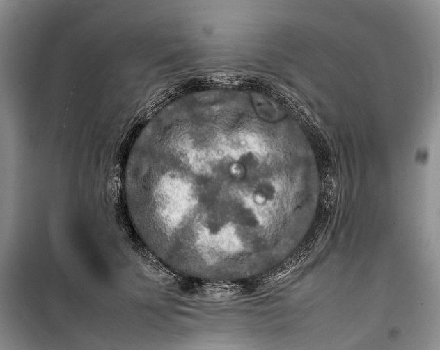 X0000100230707200806131336