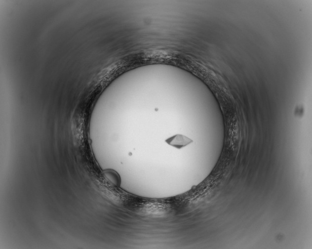 X0000100230708200806131336