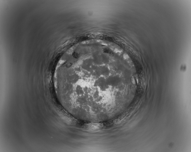 X0000100230711200806131336