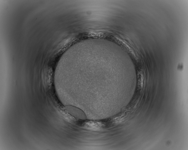 X0000100230712200806131336