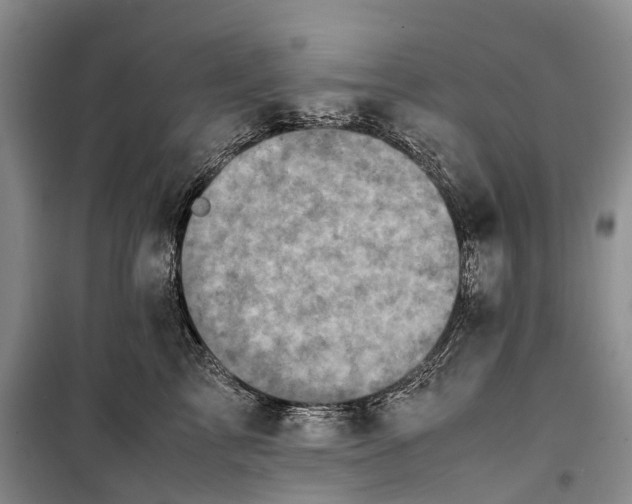 X0000100230713200806131336