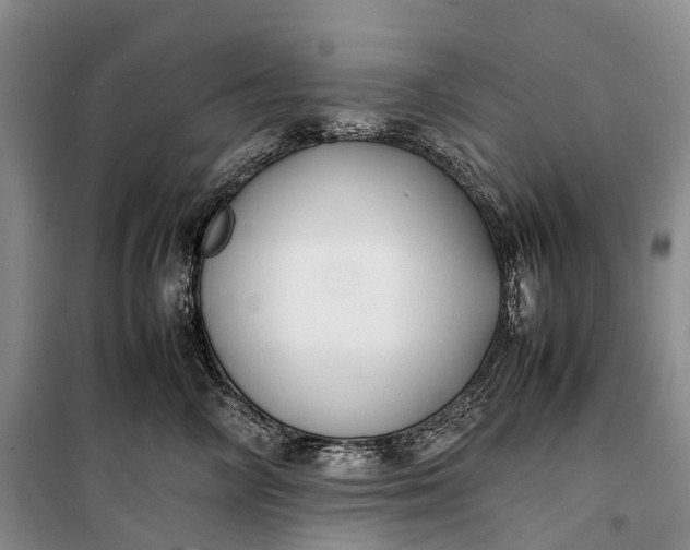 X0000100230714200806131336