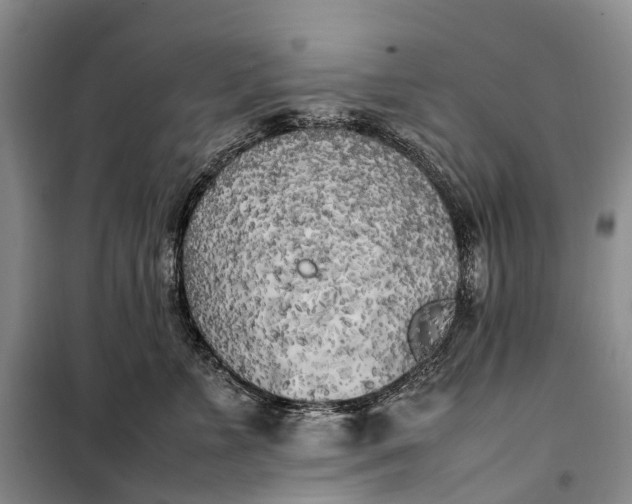 X0000100230715200806131336