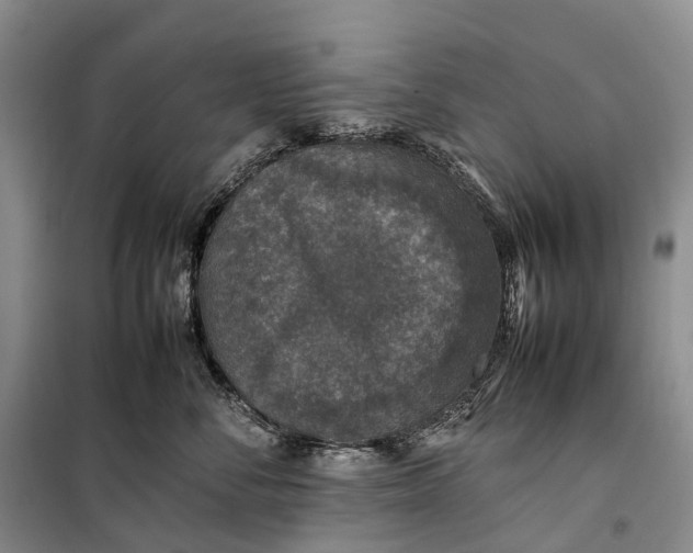 X0000100230716200806131336