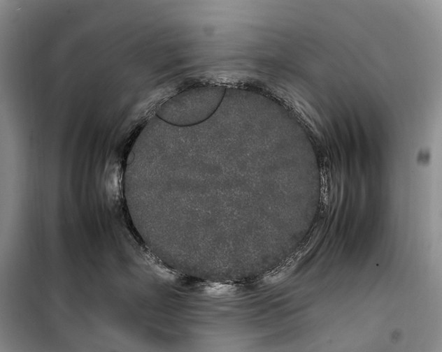 X0000100230718200806131336