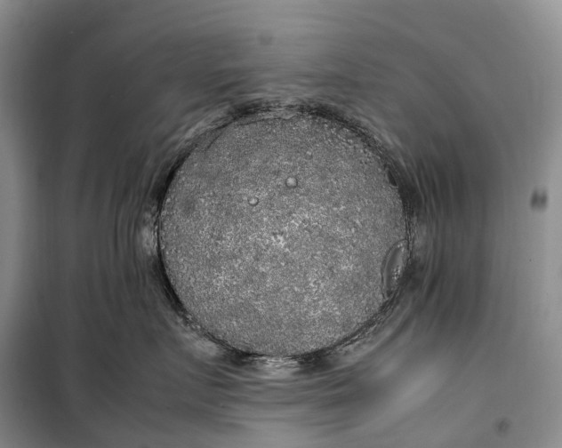 X0000100230719200806131336