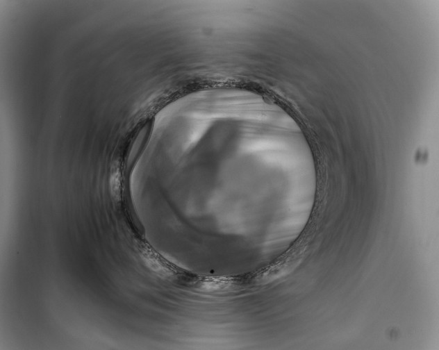 X0000100230720200806131336