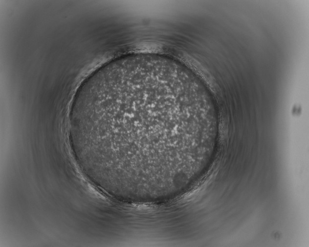 X0000100230721200806131335