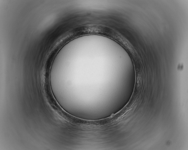 X0000100230722200806131335